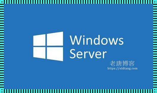 《VPSWINDOWS异类至尊，游戏圈的新秀崛起》