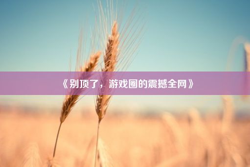 《别顶了，游戏圈的震撼全网》