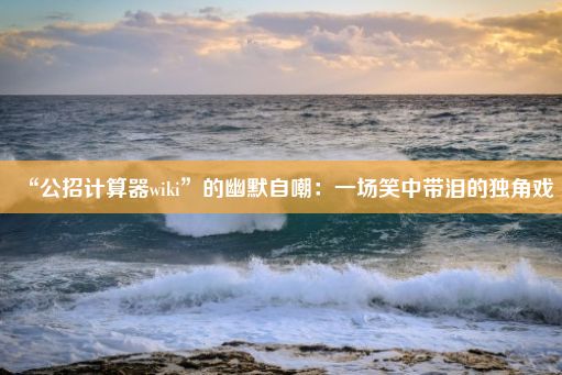 “公招计算器wiki”的幽默自嘲：一场笑中带泪的独角戏