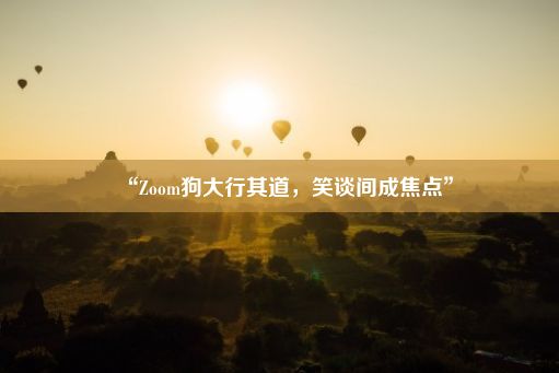 “Zoom狗大行其道，笑谈间成焦点”