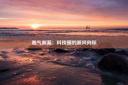 爸气侧漏：科技圈的新风向标