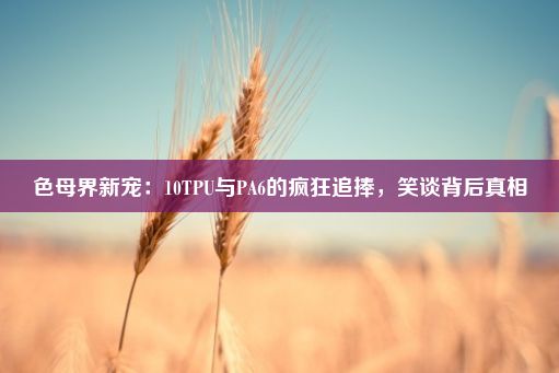 色母界新宠：10TPU与PA6的疯狂追捧，笑谈背后真相