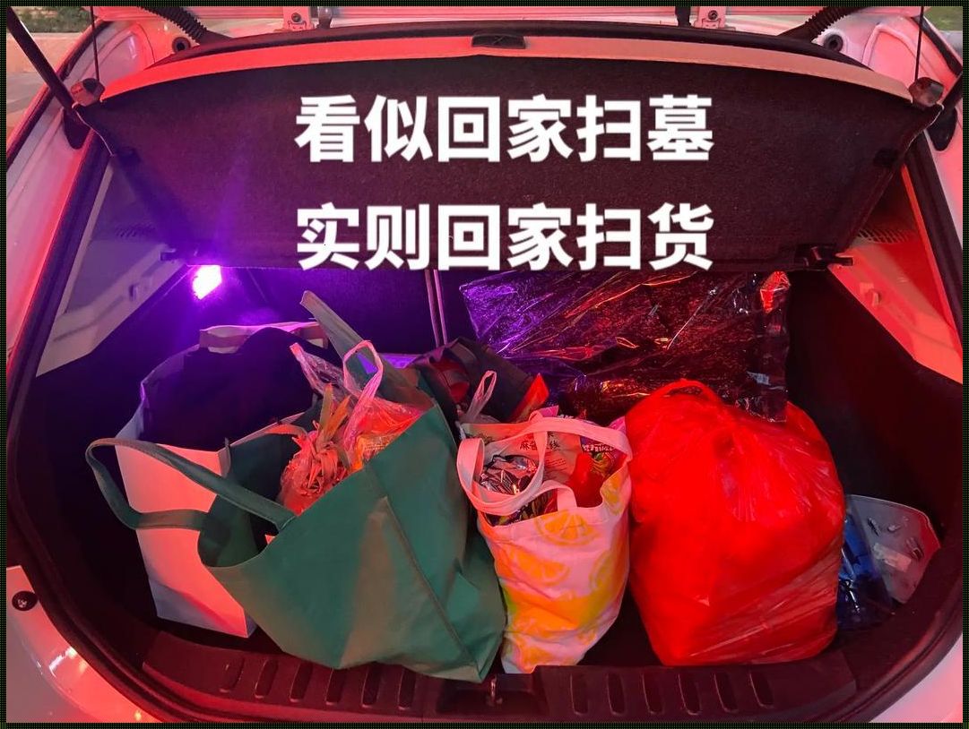 小扫货水能么多叫出来公交车，狂想曲里的科技奇葩