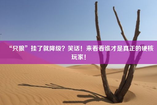 “只狼”挂了就降级？笑话！来看看谁才是真正的硬核玩家！