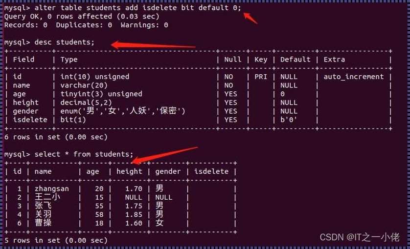 MySql，你给我登！登！登！——键盘侠的独白