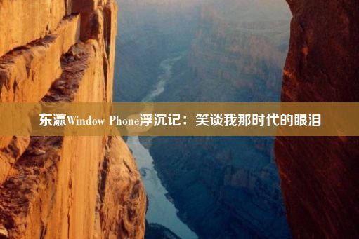 东瀛Window Phone浮沉记：笑谈我那时代的眼泪