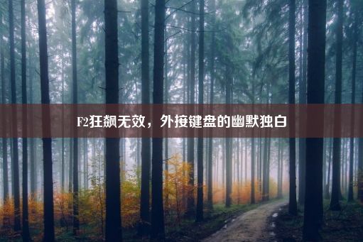 F2狂飙无效，外接键盘的幽默独白