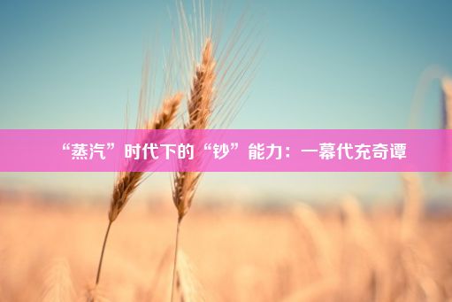 “蒸汽”时代下的“钞”能力：一幕代充奇谭