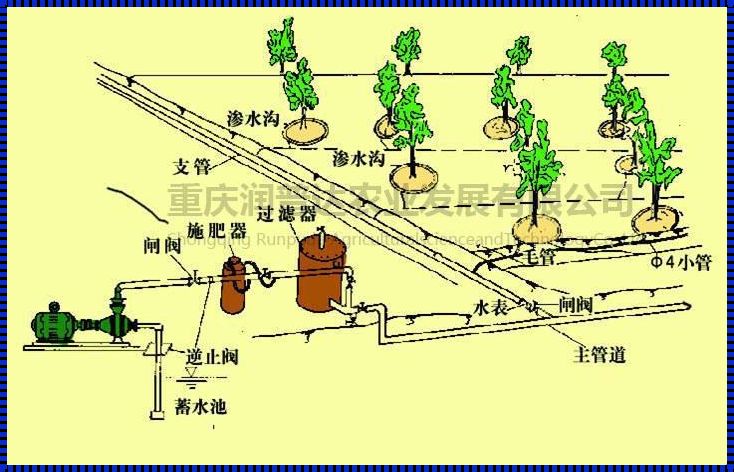 “JY灌溉”狂潮来袭，顾清成新晋网红！