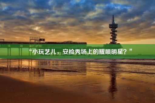 “小玩艺儿，安检秀场上的耀眼明星？”