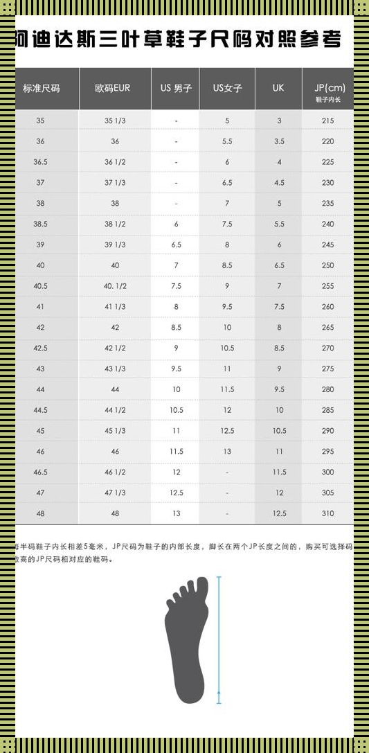 "潮人聚焦：三叶草M码对阵欧版尺码，谁主沉浮？"