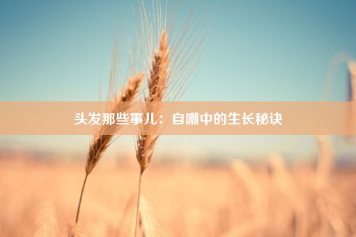 头发那些事儿：自嘲中的生长秘诀