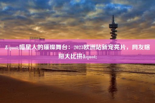 "喵星人的璀璨舞台：2023欧洲站新宠亮片，网友瞎掰大比拼"