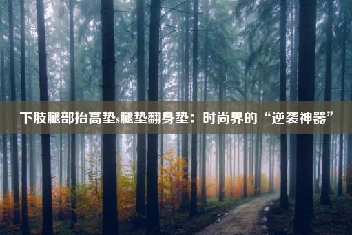 下肢腿部抬高垫s腿垫翻身垫：时尚界的“逆袭神器”