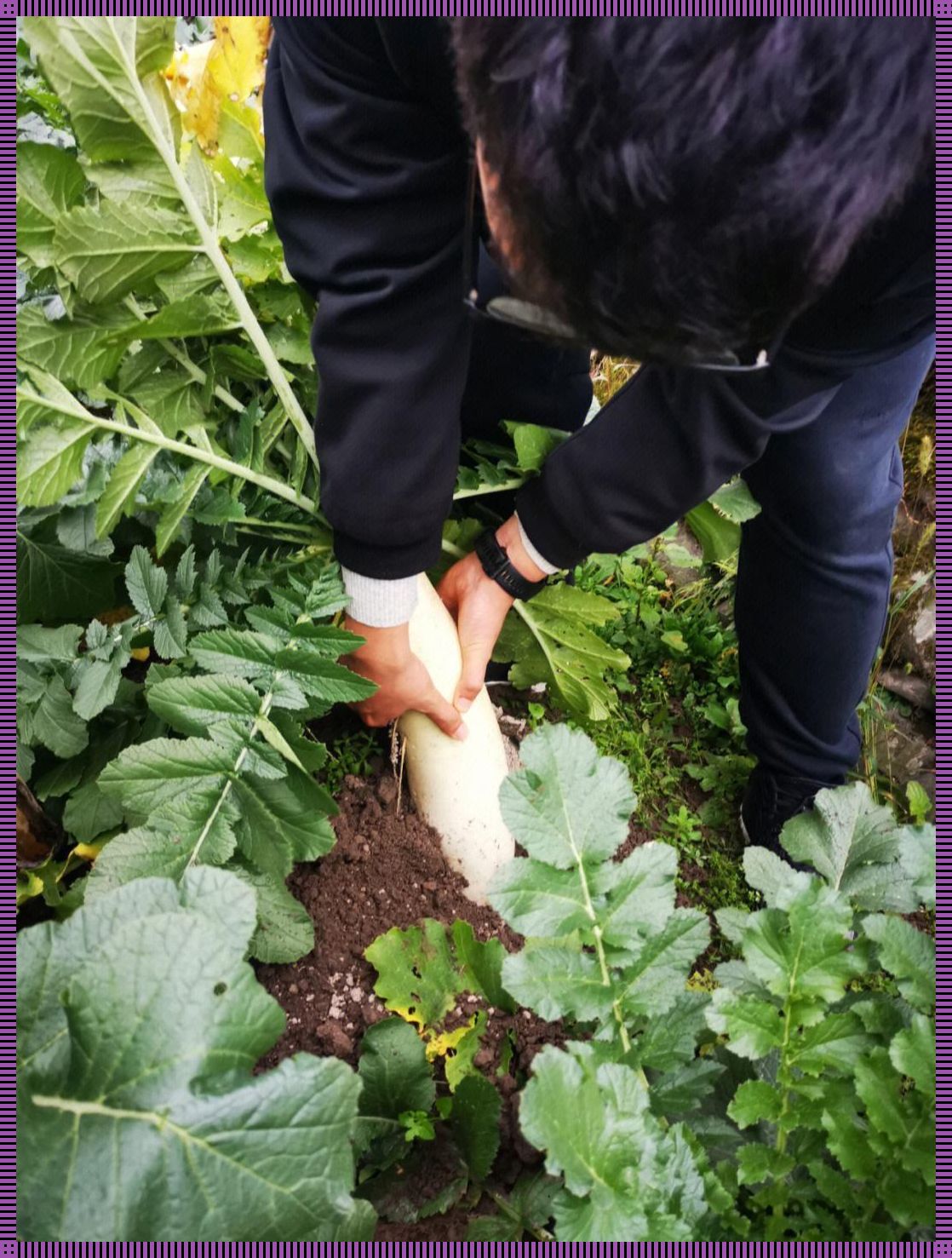 挤牛奶拔萝卜新潮流，笑谈科技圈里的那些事儿