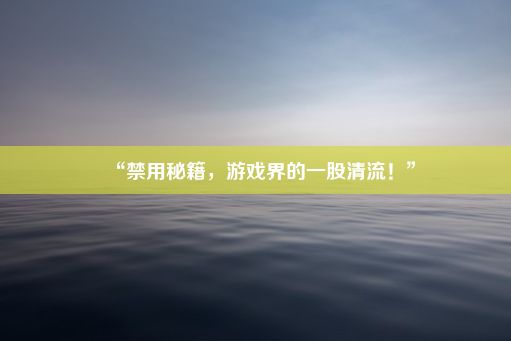 “禁用秘籍，游戏界的一股清流！”