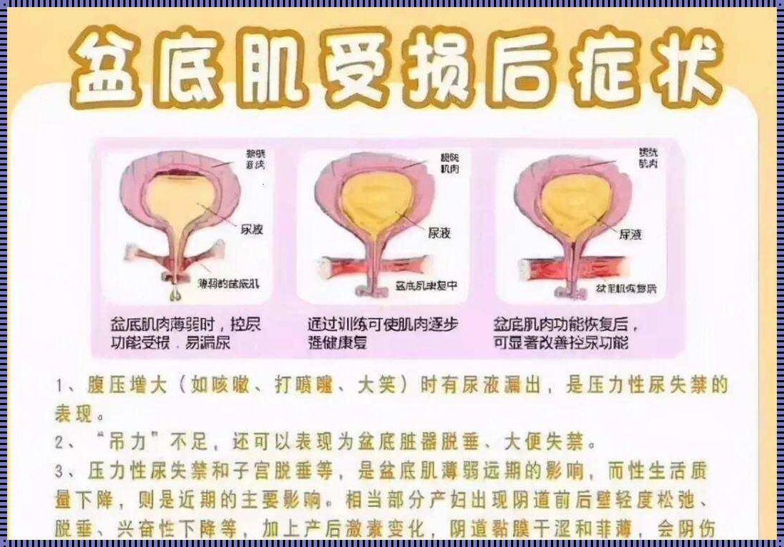 “女生下面松弛”大揭秘：笑谈网友新趋势