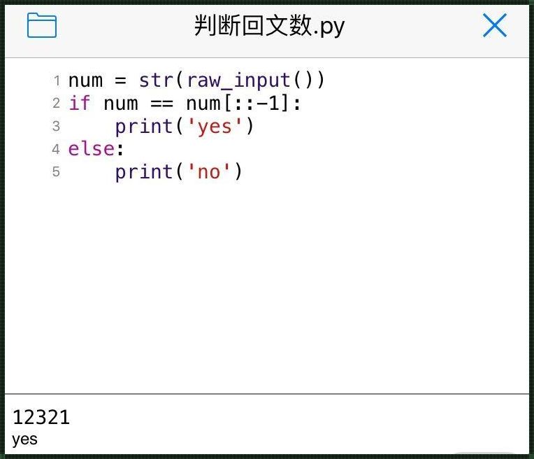 “Py闯天关，回文数独舞”：一只蟒蛇的逆袭之旅