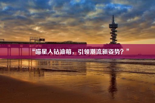 “喵星人钻油箱，引领潮流新姿势？”