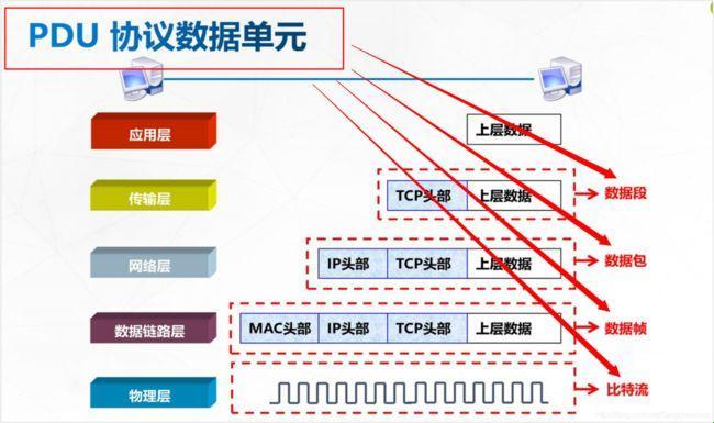 数据链路层协议：狂野世代的华丽舞者