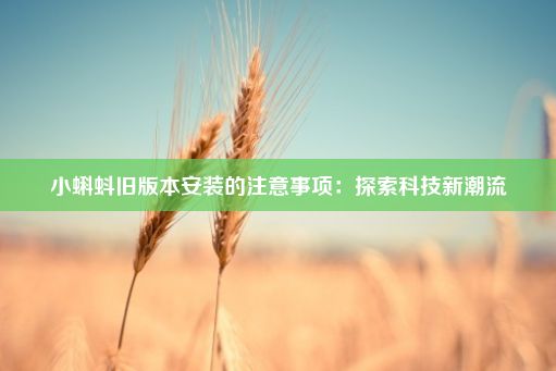 小蝌蚪旧版本安装的注意事项：探索科技新潮流