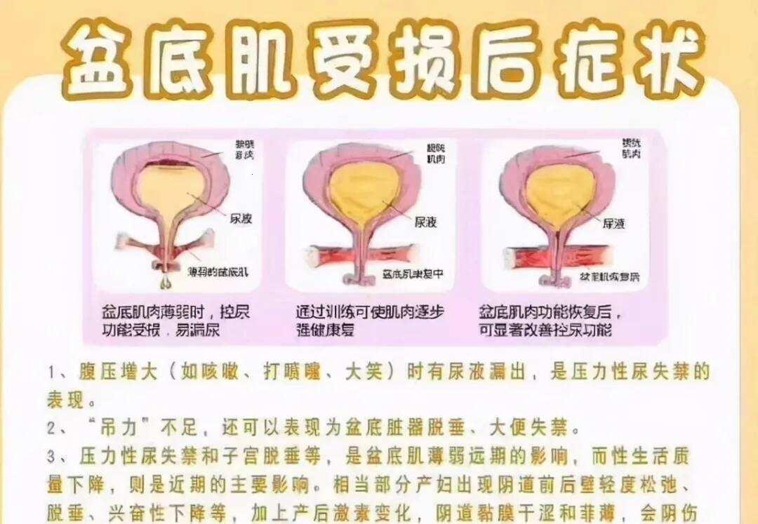 “松懈之谜，崛起的反差萌”