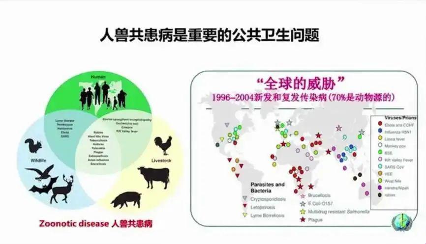 "时尚圈新宠：畜禽是人类的好伙伴，共性关系震撼到你了吗？"