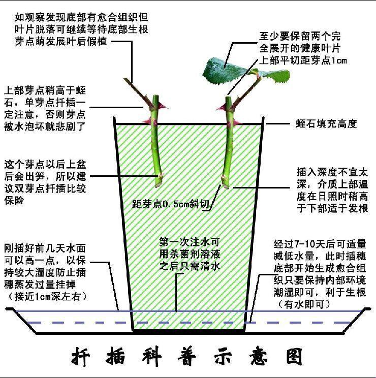 韩风72变，时尚界的独门辣招，我都插不上话了！