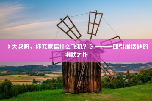 《大叔呀，你究竟搞什么飞机？》——一曲引爆话题的幽默之作