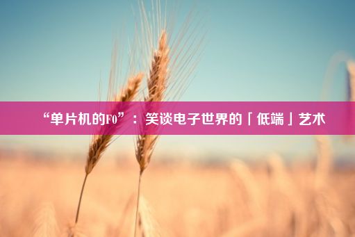 “单片机的F0”：笑谈电子世界的「低端」艺术