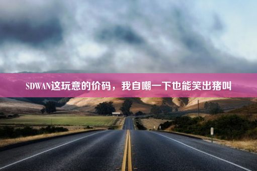 SDWAN这玩意的价码，我自嘲一下也能笑出猪叫