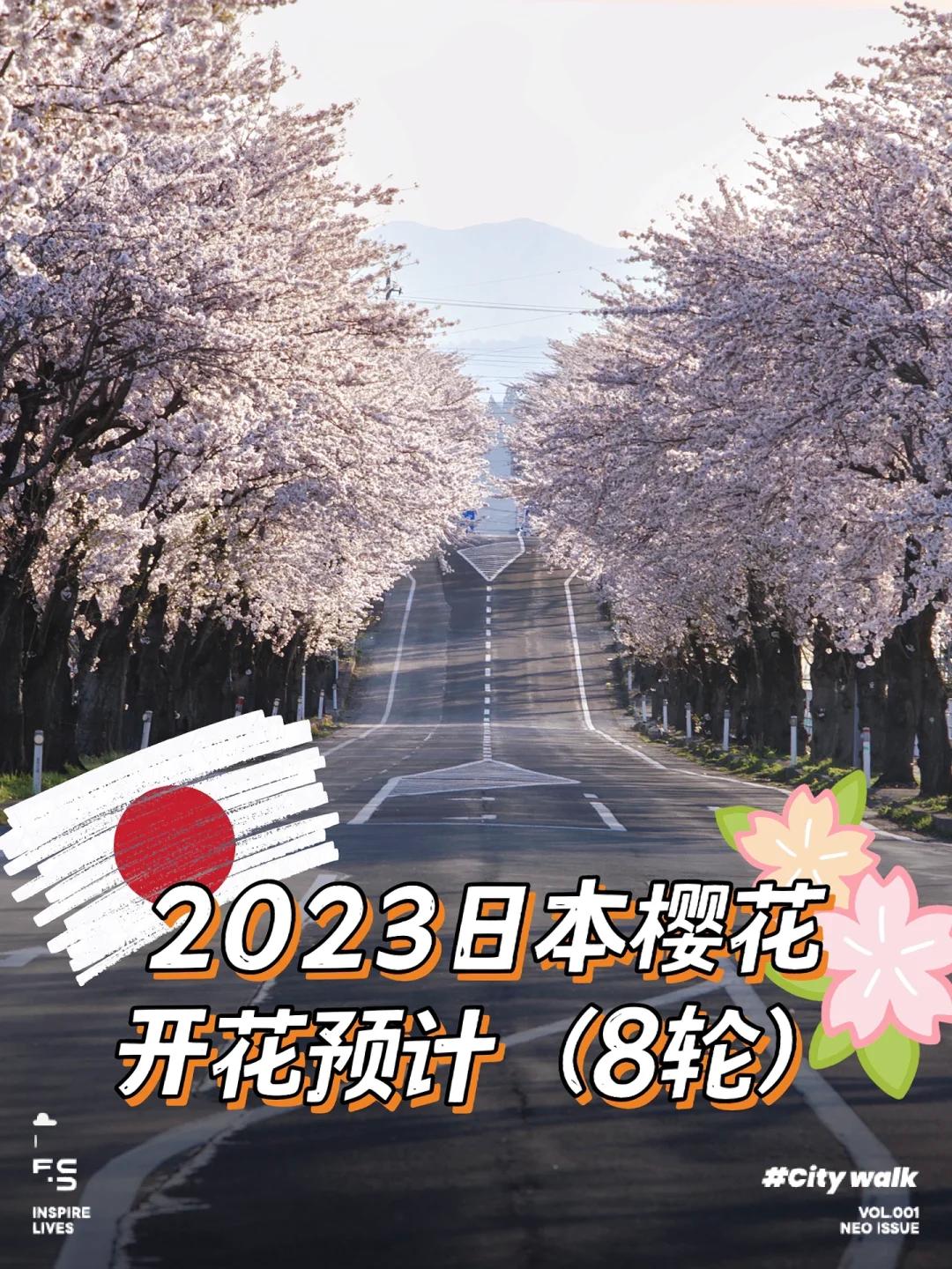 “2023，樱花官网狂想曲：创新风暴来袭，幽默江湖谁与争锋！”