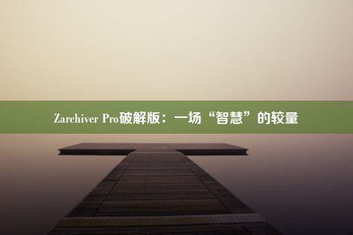 Zarchiver Pro破解版：一场“智慧”的较量