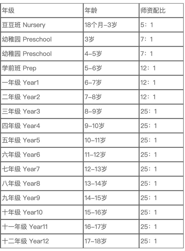 "美国幼崽上学记：网友笑掉大牙的真相"