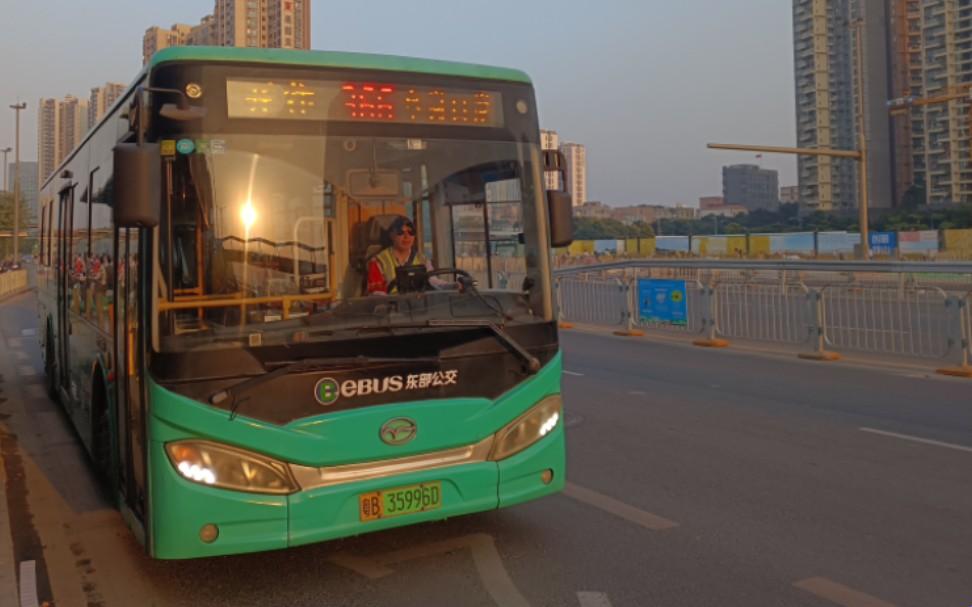 颤抖吧！公交车的疯狂之旅——全球狂热的新焦点