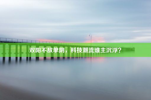 双阳不敌单阴，科技潮流谁主沉浮？