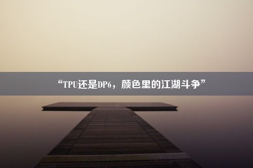 “TPU还是DP6，颜色里的江湖斗争”