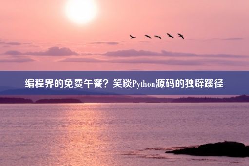 编程界的免费午餐？笑谈Python源码的独辟蹊径