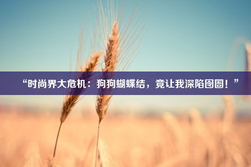 “时尚界大危机：狗狗蝴蝶结，竟让我深陷囹圄！”