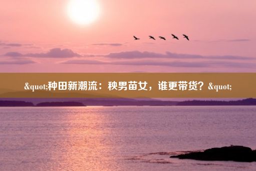 "种田新潮流：秧男苗女，谁更带货？"