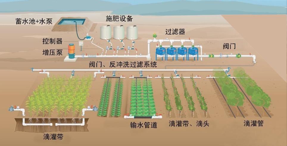 “奇液灌溉”探幽：奇葩之道，谁与争锋？