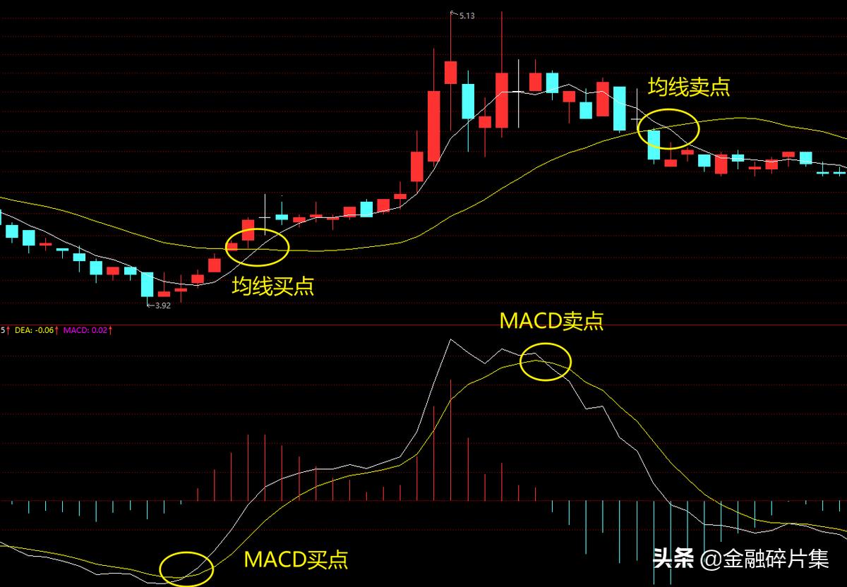 “MACD”破解记：一窥科技圈新宠儿的奥秘