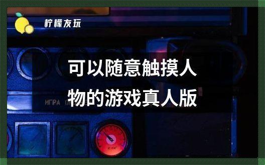 “时尚界的隐私触摸狂想曲：模拟能手引领潮流”