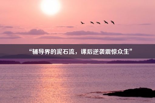 “辅导界的泥石流，课后逆袭震惊众生”