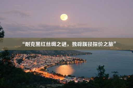 “耐克黑红丝绸之谜，独辟蹊径探价之旅”