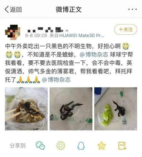 “时尚界的‘2蟆不适吾意’之谜，网友热议下的双关狂潮”