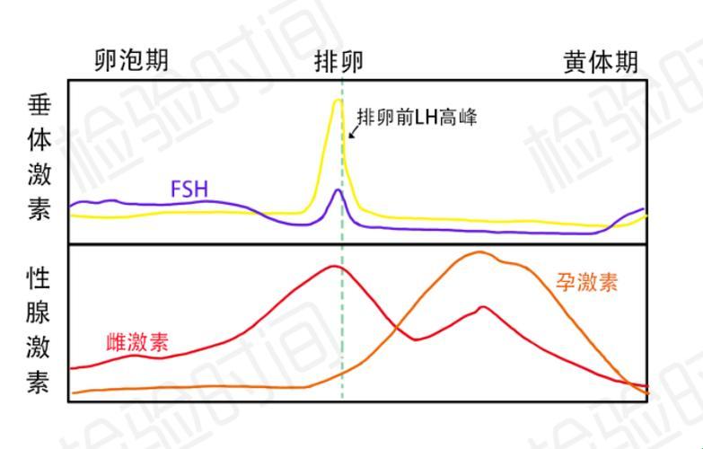 突破性“高能lH1对多”，全网惊掉下巴！科技界的“萌新”辣评