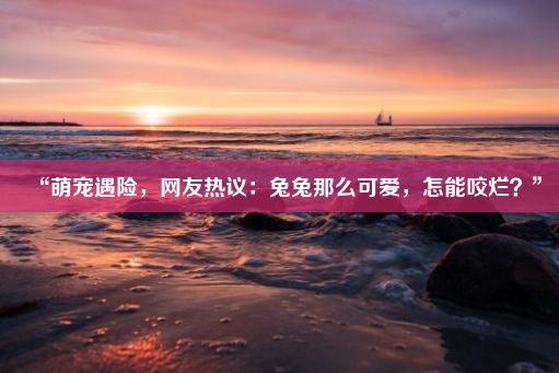 “萌宠遇险，网友热议：兔兔那么可爱，怎能咬烂？”