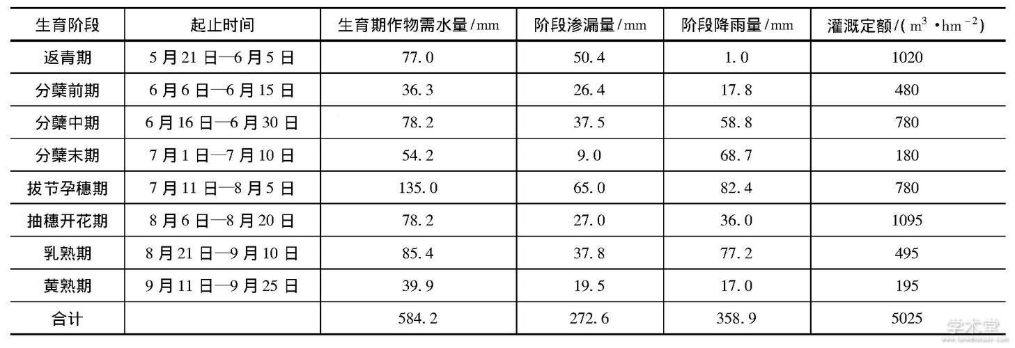 《灌溉盛宴》：笑谈计划表里的全民焦点