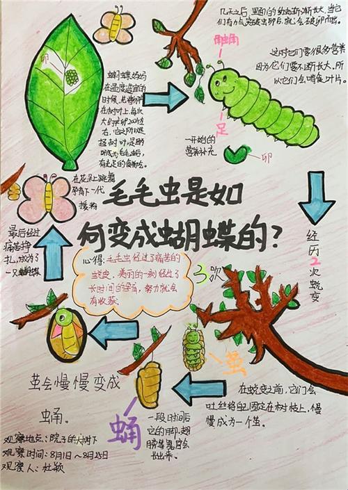 《奇幻探险：毛毛葆葆的成长密语》